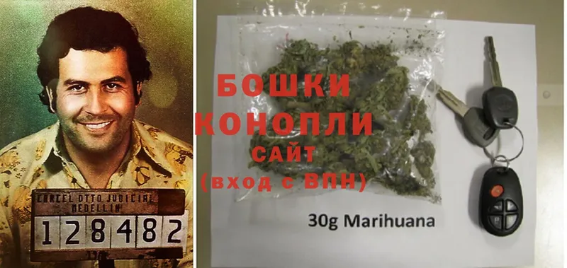 Шишки марихуана THC 21%  блэк спрут сайт  Горно-Алтайск 